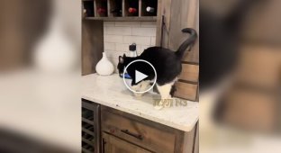 Пушистый симулянт