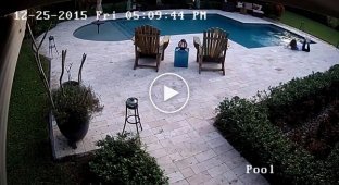 Девушка нырнула в бассейн за ховербордом
