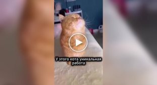 Профессиональная модель для рекламы ожерелий