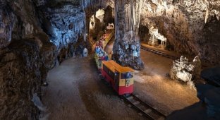 Пещера Постойнская яма, Словения (26 фото)