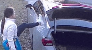 Класні гіфки. Випуск 2745 (100 гіфок)