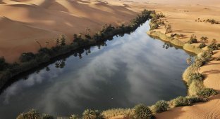Ливийская Сахара (21 фото)