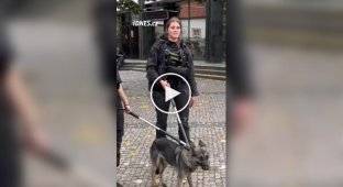 У Празі закрили цілу лінію метро через щеня, що забігло в тунель.