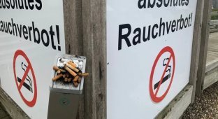В Евросоюзе планируют полностью запретить сигареты с фильтром (2 фото)
