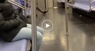 Why You Shouldn't Fall Asleep on the New York City Subway