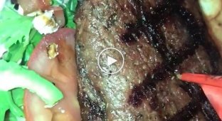 В Австралии клиентам ресторана подали стейк с личинками