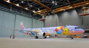 Китайский самолет в ливрее с покемонами (6 фото)