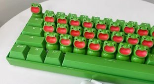 Cool keyboard for toad lovers (4 photos + video)