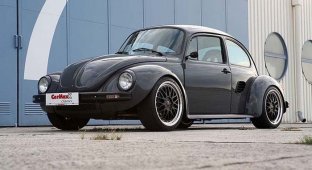 Porsche Boxster+винтажный Volkswagen Bug=Bugster (18 фото)