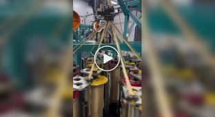 Як роблять канати: ремесло з 400-річною історією зберегла компанія Langman Ropes