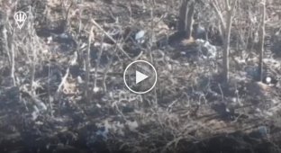 Ukrainian kamikaze drones attack Russian military in the Zaporozhye region