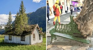 16 Cases When Nature Decided To Remind Man That She Is The Chief Here (17 Photos)
