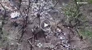 Border guards destroyed about a dozen positions of the invaders