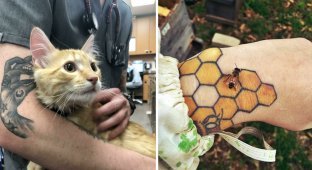 30 times when tattoos perfectly complemented reality (31 photos)