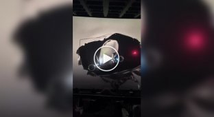 Кинотеатр с самым большим экраном