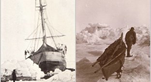 Сильные фото о том, как в XIX веке пытались покорить Арктику (21 фото)