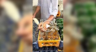 Why it's better not to buy Coke from Pakistan