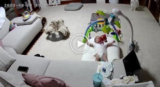 Fluffy nanny: the cat calmed the child