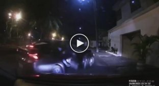 Attempted armed robbery in Ecuador caught on video
