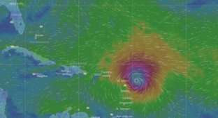 Ураган «Ирма» максимальная пятая категория (7 фото)