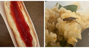 15 people who wanted to have lunch, but something went wrong (16 photos)