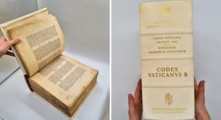 Самые древние книги в мире, которые сохранились до наших дней (10 фото)