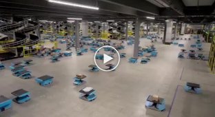 What a workday in an Amazon warehouse looks like