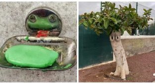 30 случаев, когда мир смотрит на тебя в упор и с интересом (31 фото)