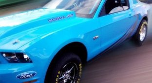 Компания Ford обновила дрэговый Mustang (3 фото)