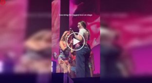 Фанатка Зары Ларссон удивила зал, повторив танец подтанцовки
