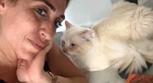 Женщина утверждает, что ее кот-ясновидящий помогает ей раскрывать тайны будущего (3 фото)