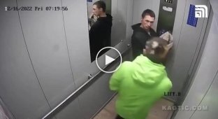 Когда накрыло в лифте