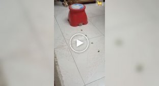 Prototype of a new robot vacuum cleaner