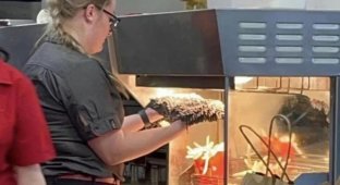 Работница McDonald's посушила половую тряпку над картофелем фри (3 фото + 1 видео)