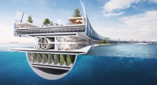 The Japanese can build a floating city for 40 thousand people (3 photos + 1 video)