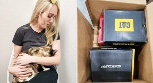 A cat accidentally ended up in an Amazon box. She flew 1050 km and returned only a week later (4 photos + 1 video)