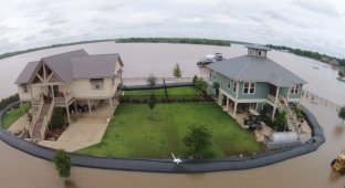 This simple but effective design will save your house from flooding (7 photos)