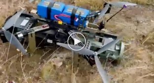 Successful testing of the world's first drone grenade launcher, Wild Hornets