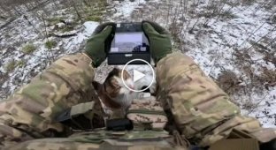 Here is such an aerial reconnaissance cat that the Armed Forces of Ukraine have