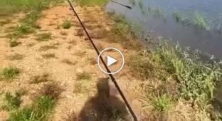 The fastest fishing in the Wild West