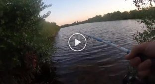 Unexpected danger while fishing