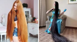 17 людей, які мають настільки довге і круте волосся, що їм позаздрить навіть сама Рапунцель (18 фото)