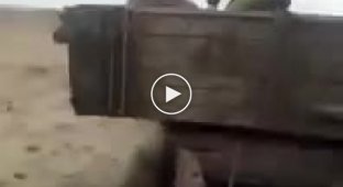Необычная погоня гаишник догоняет трактор в его прицепе