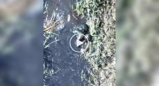 На Донецькому напрямку ворог почав застосовувати водолазів для проникнення ДРГ: їх було ліквідовано