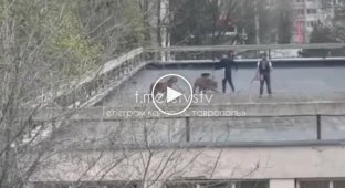 People scared the inhabitants of Stavropol with tigers on the roof of the circus