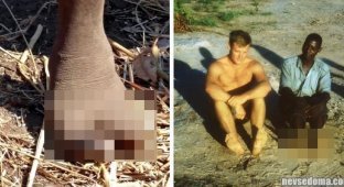 Люди-страуси: загадкове плем'я клешноногих, які вважають себе посланцями з Марса (6 фото)