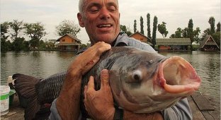 20 most amazing river monsters (20 photos)