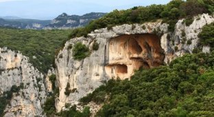 77-річний чоловік упав у глибоку пастку і три дні був змушений пити лише вино (2 фото)