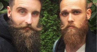 Эти двое парней превратили свои бороды в предмет искусства (22 фото)