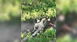 Окупант втік після атаки українського дрона